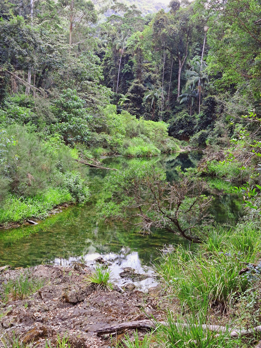 Conondale National Park