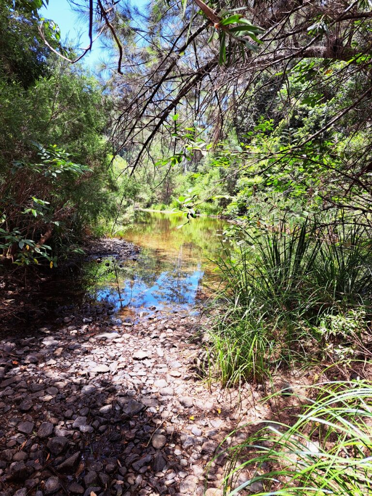 Conondale Creek