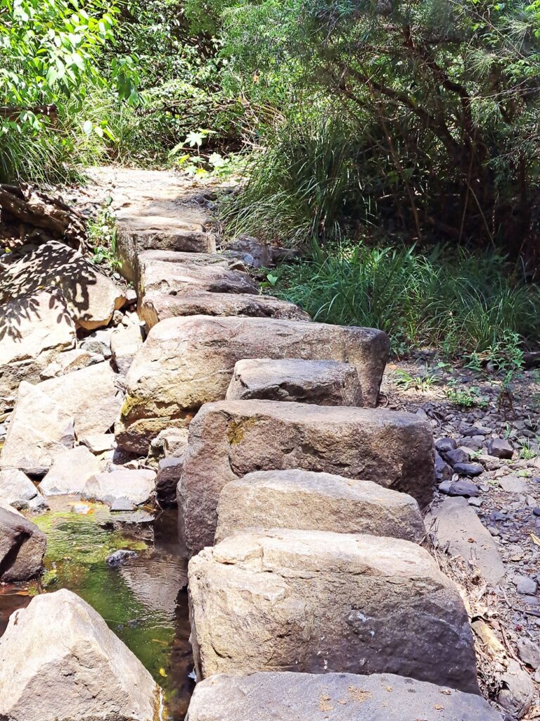 Imbil State Forest