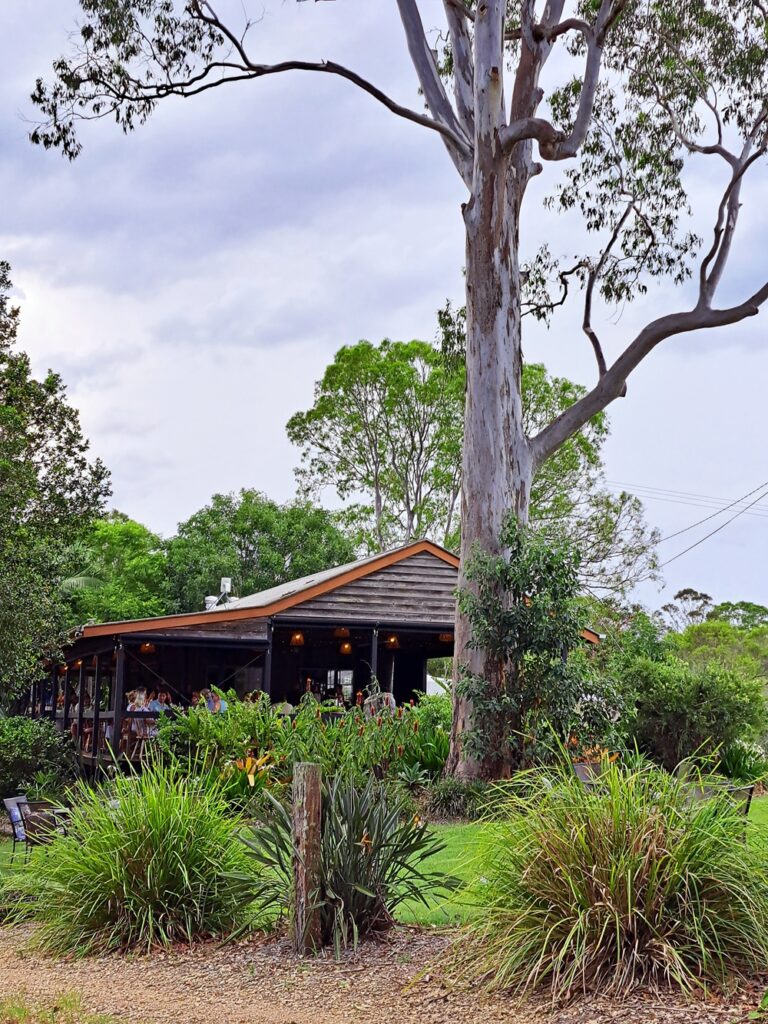 Dingo creek