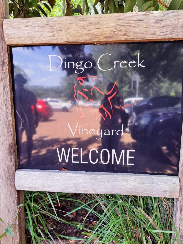 Dingo Creek Vineyard