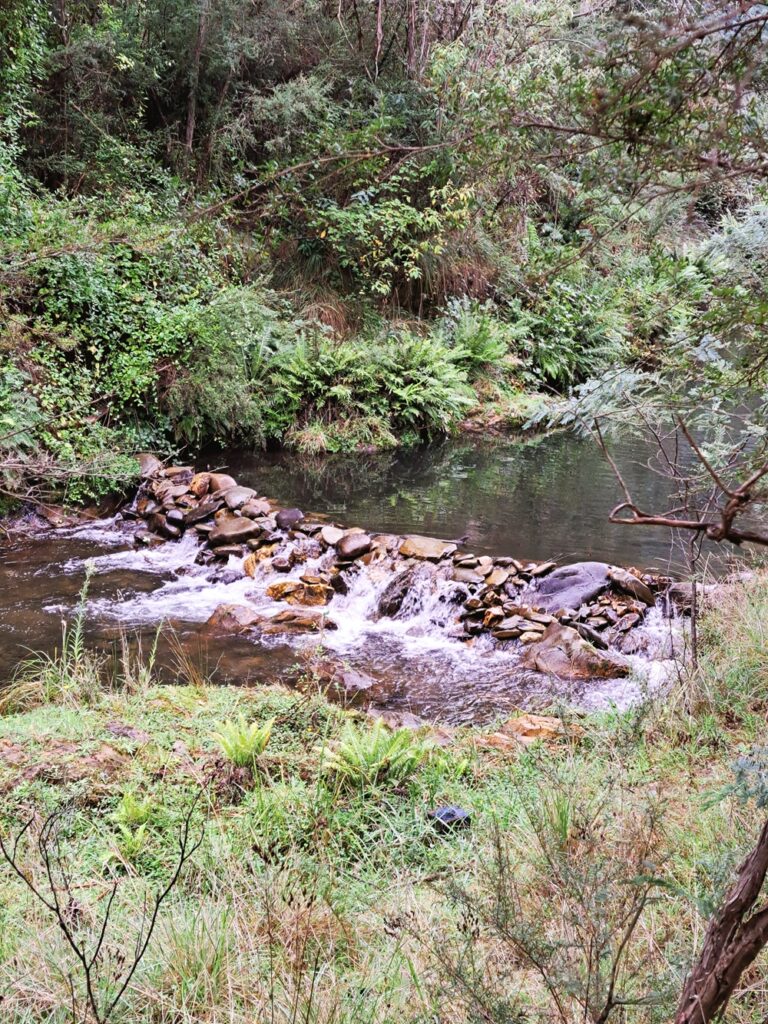 Harrietville