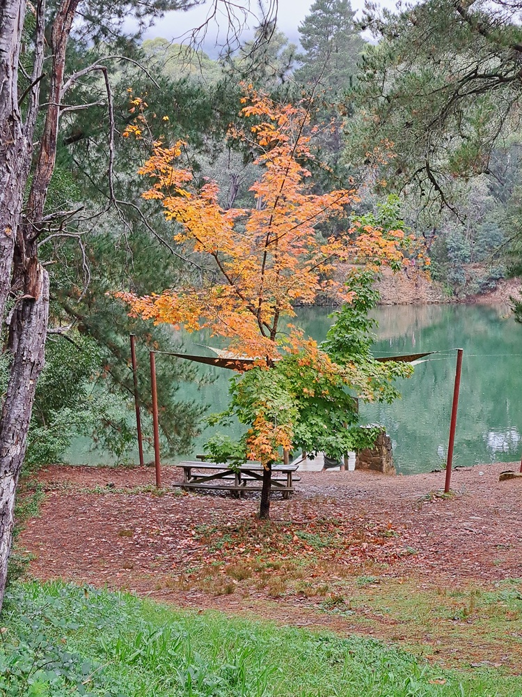 Harrietville