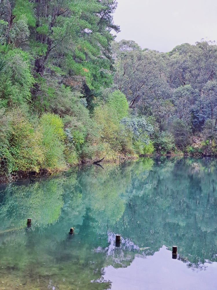 Harrietville
