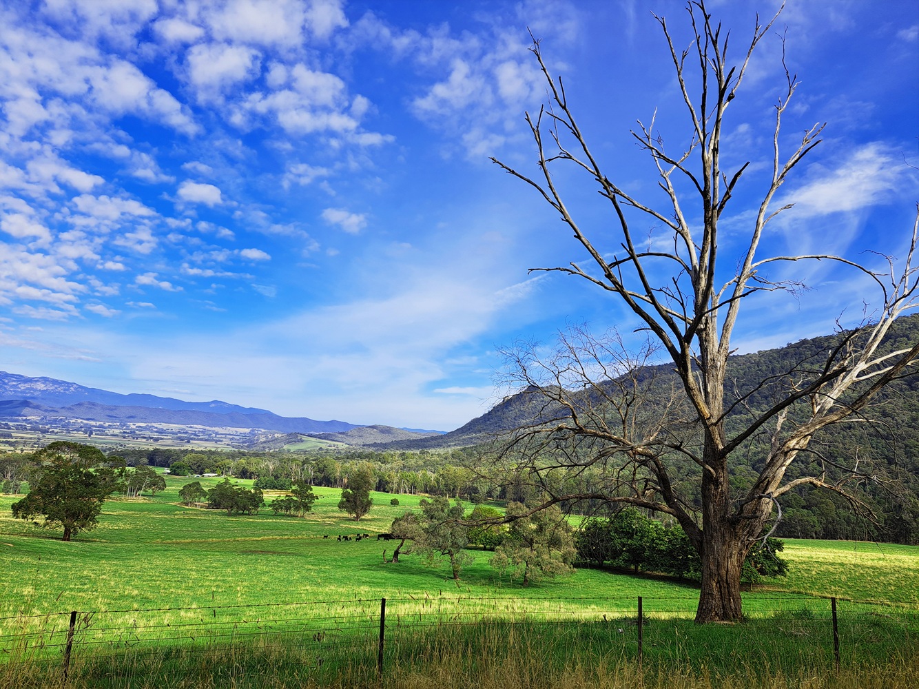 The road to Victoria's High Country