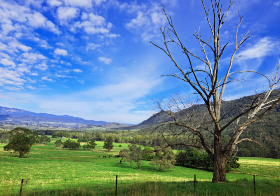 Yackandandah, Bright & Harrietville