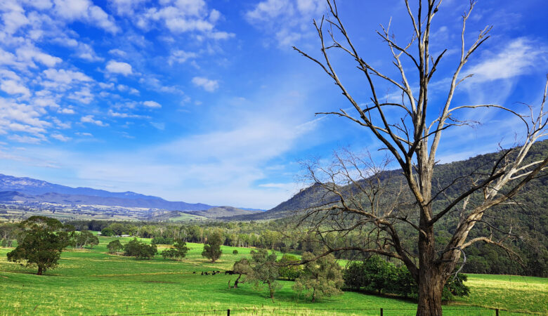 Yackandandah, Bright & Harrietville