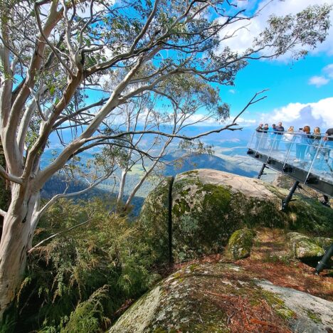 Tunnelling Through Dularcha National Park
