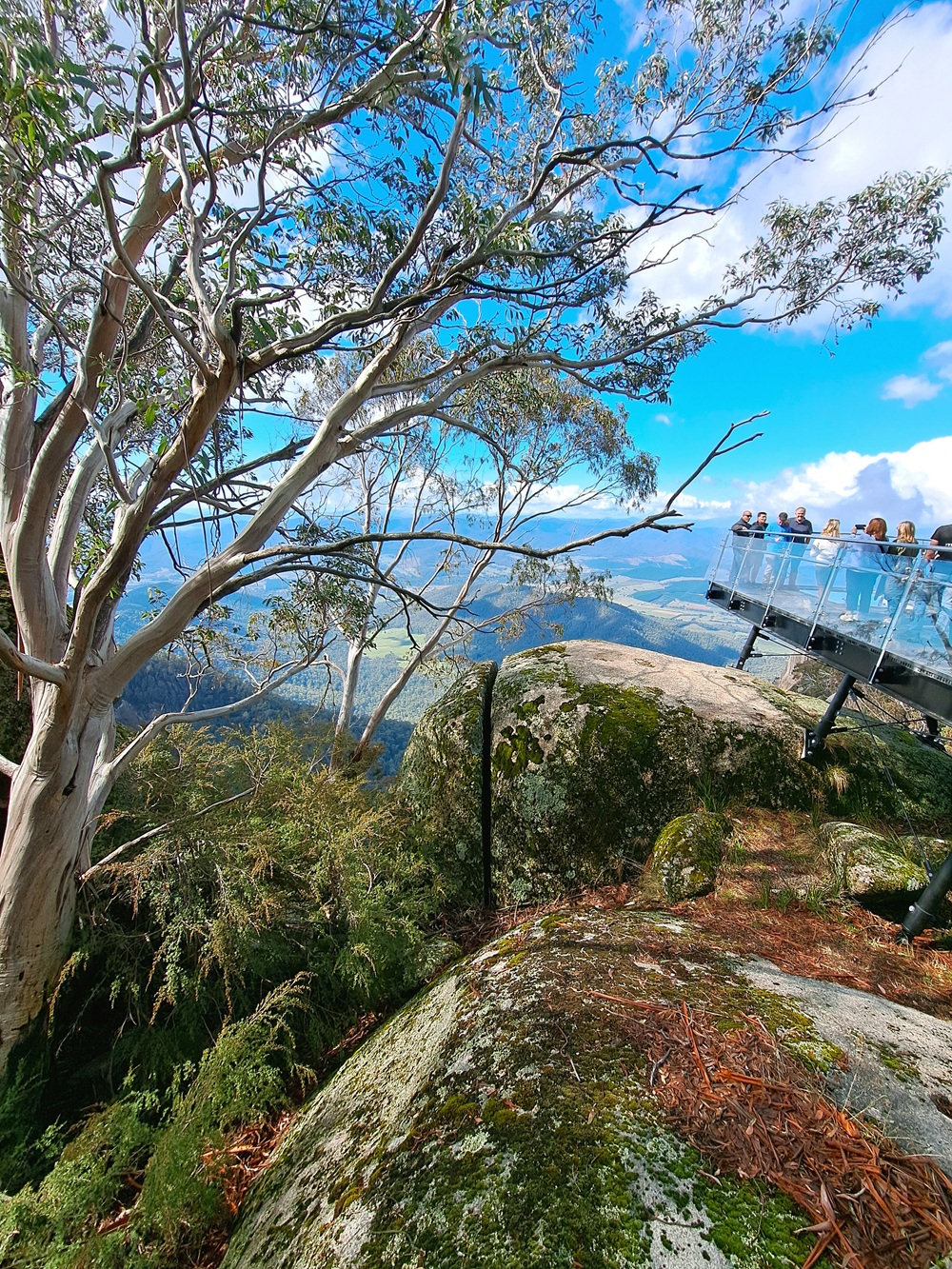 Mt Buffalo