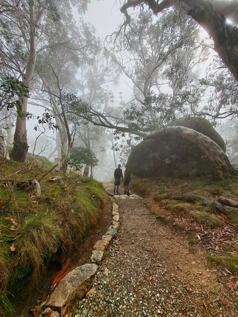 Gorge Heritage Walk Mt Buffalo