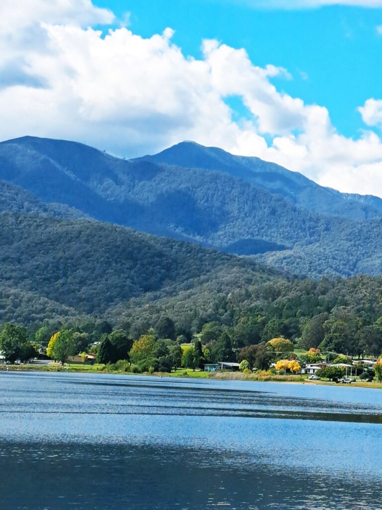 Mt Bogong