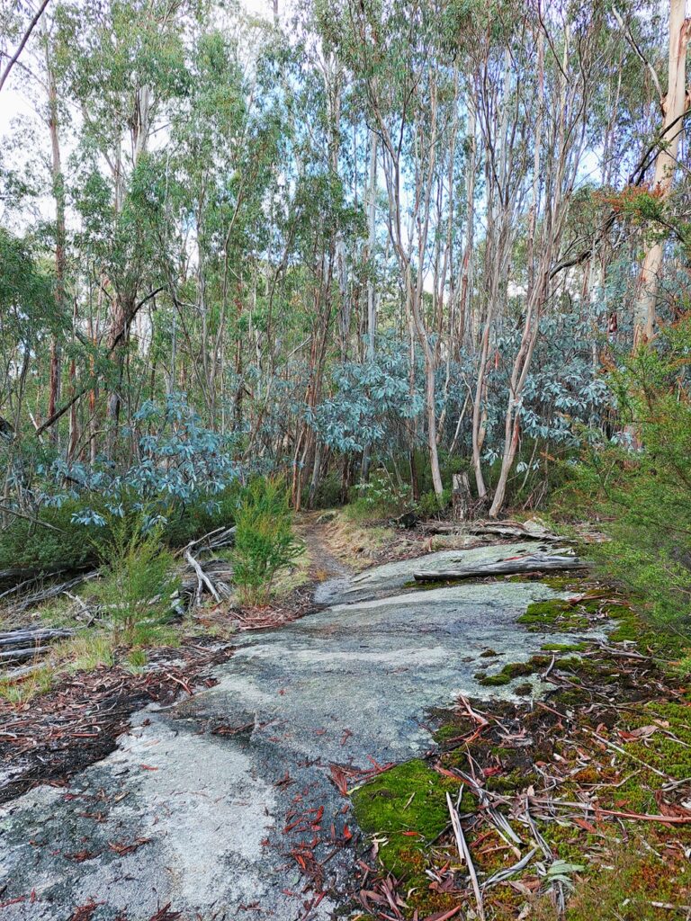 Mt Buffalo