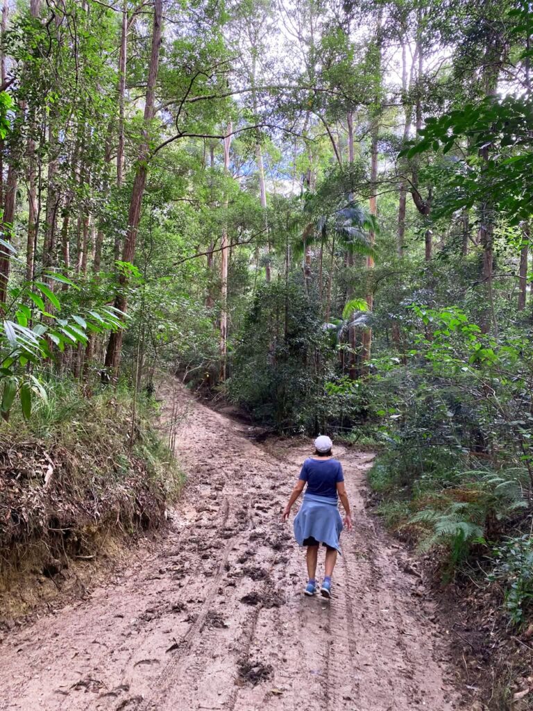 Roses Circuit