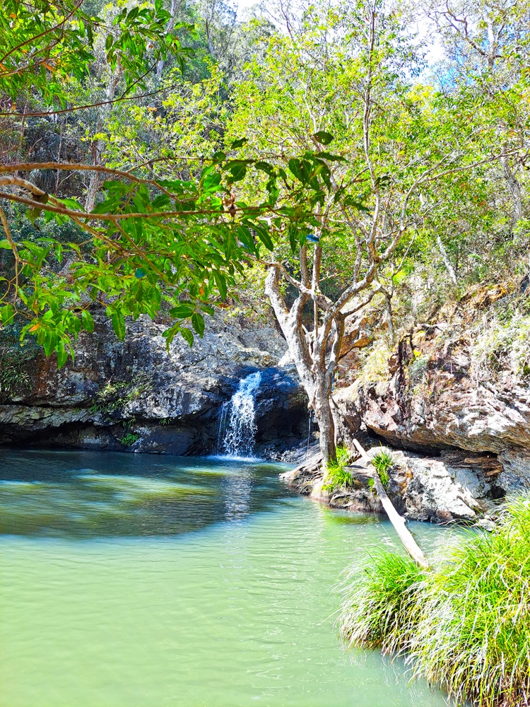 Kondalilla Falls