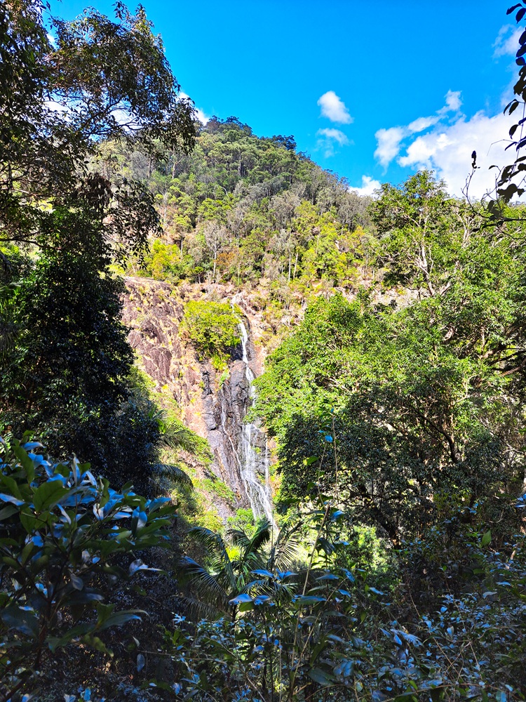 Kondalilla Falls