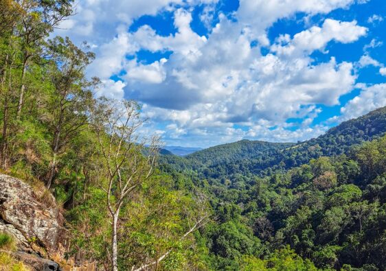 Kondalilla National Park