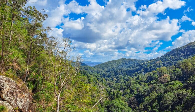 Kondalilla National Park