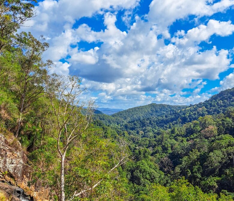 Kondalilla National Park