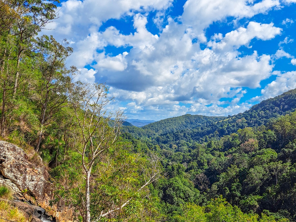 Kondalilla National Park