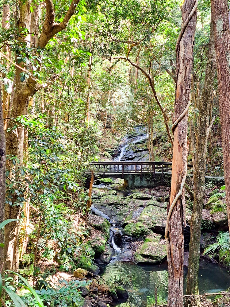 Kondalilla Falls
