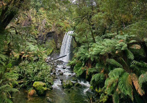 Waterfall