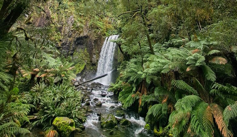 Waterfall