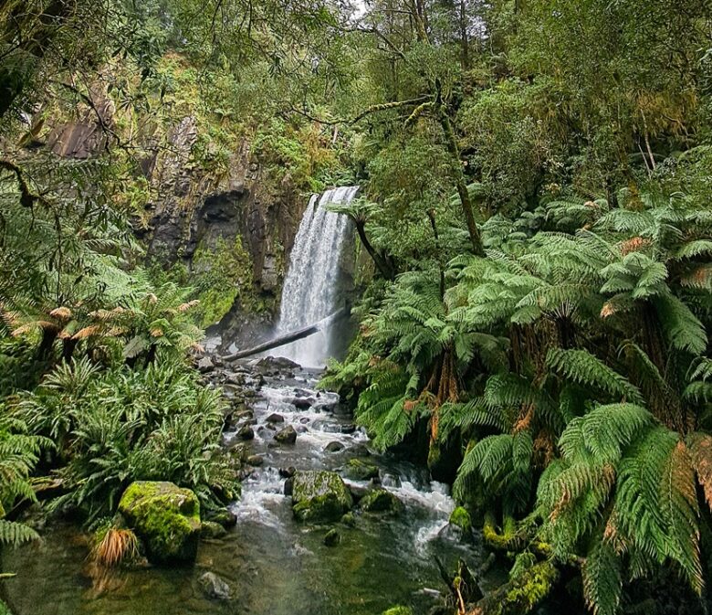 Waterfall