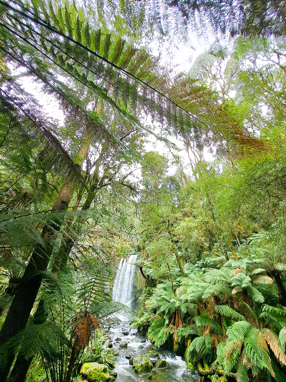 Hopetoun Falls