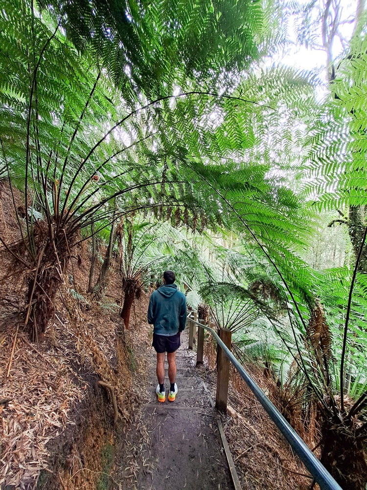 Great Otway National Park